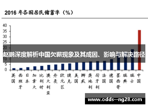 赵鹏深度解析中国欠薪现象及其成因、影响与解决路径 赵鹏深度解析中国欠薪现象及其成因、影响与解决路径