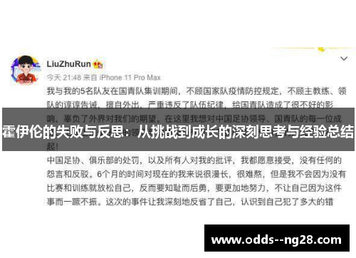 霍伊伦的失败与反思：从挑战到成长的深刻思考与经验总结